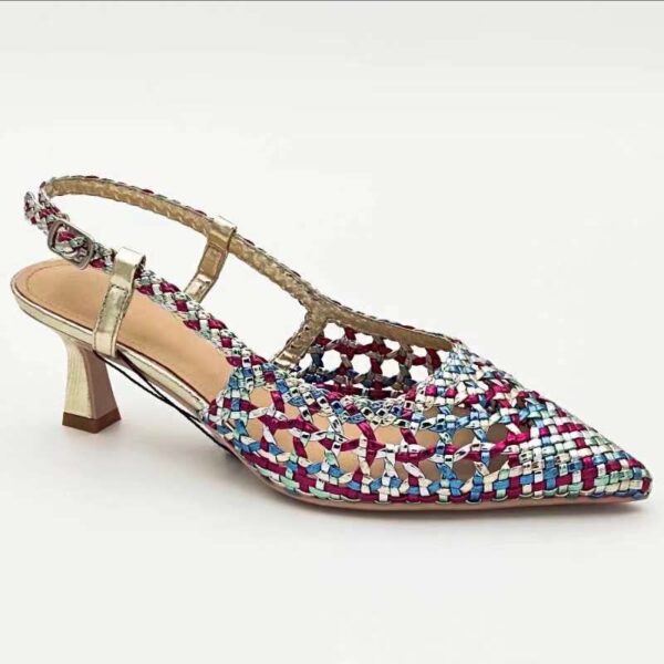 Multicolour Low Heel