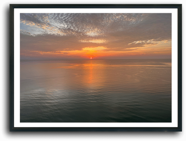 ‘Florida’ by C MEDWYNTER